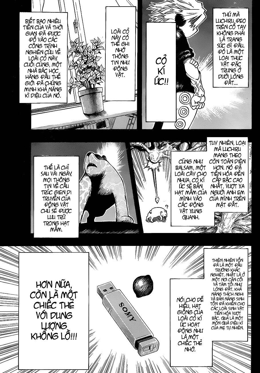 anagle mole chapter 3 8