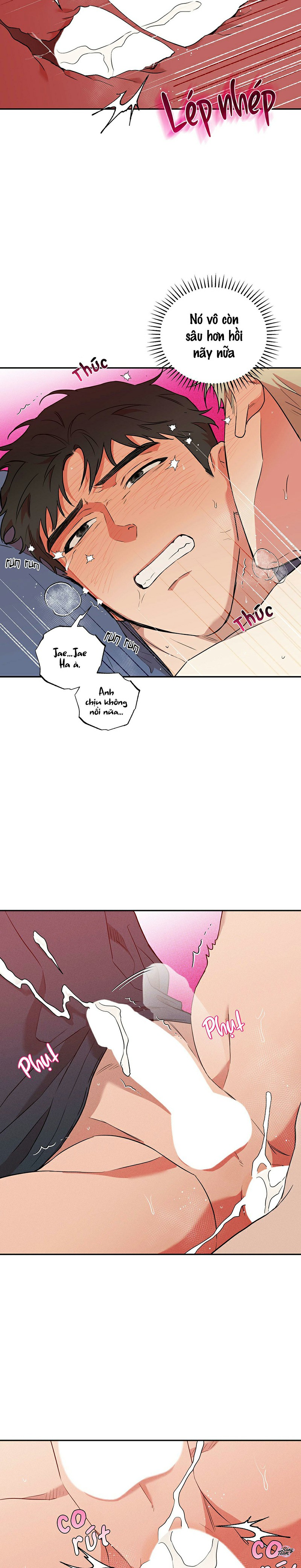 tình yêu trong sáng có gì sai chapter 14 14