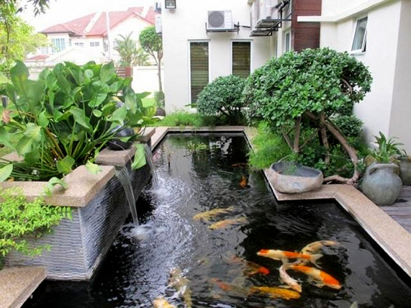 Thanh nhiệt, giải độc, mát gan, lợi mật, tăng cường chức năng gan cho các loại cá cảnh, cá rồng, cá vàng, cá bảy màu guppy, cá rồng, cá Koi 100gr.