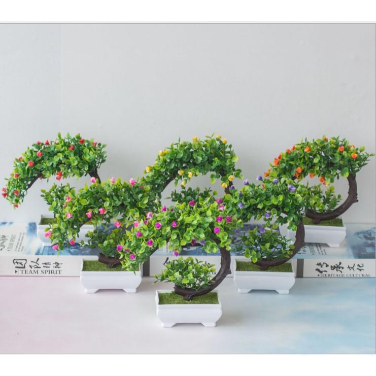 CÂY GIẢ BONSAI HOA RỰC RỠ kèm chậu - Chậu cây Phú Quý Cát Tường trang trí, để bàn - Hoa giả may mắn tài lộc