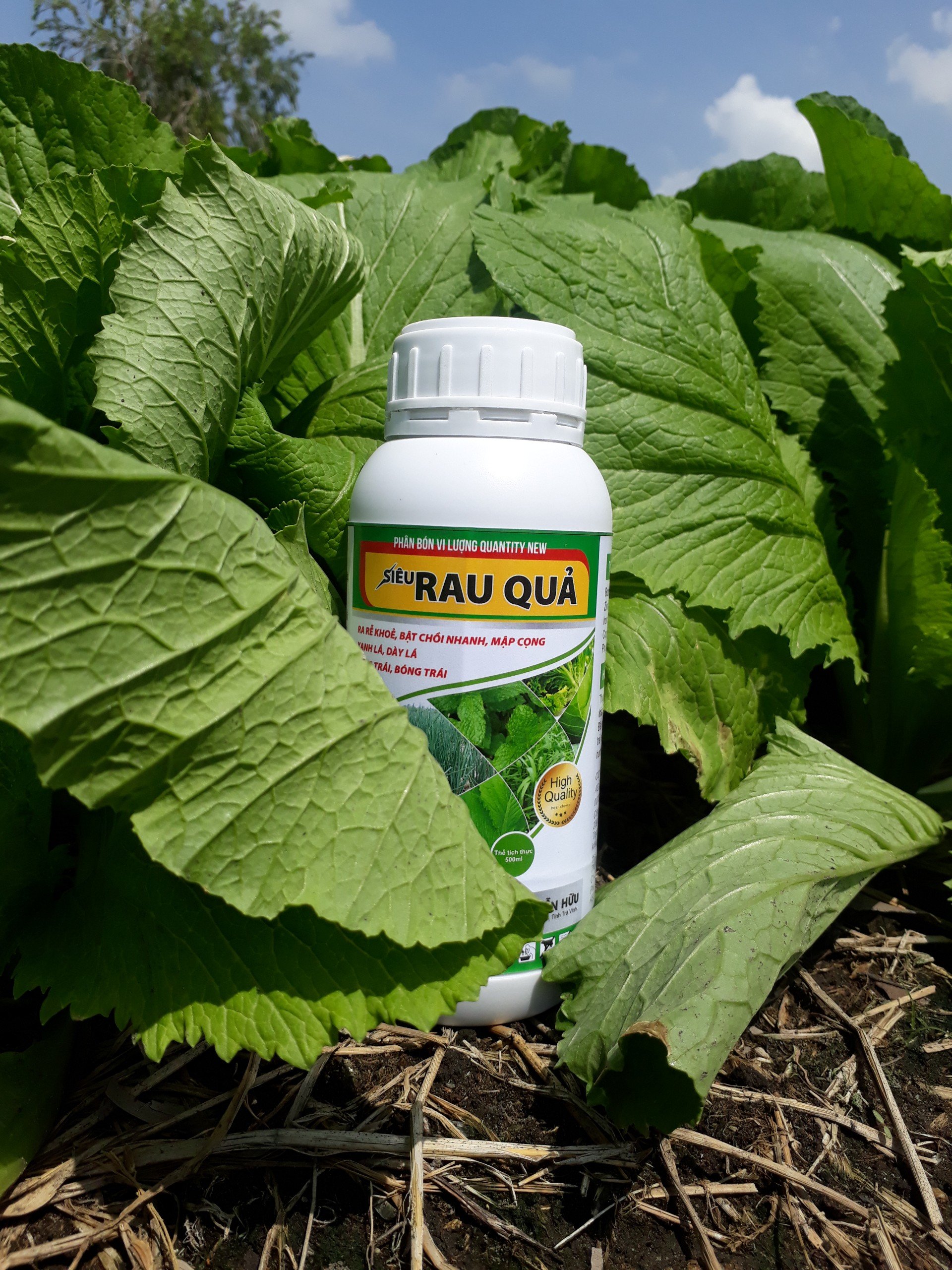 SIÊU RAU QUẢ - dưỡng cây mướt lá