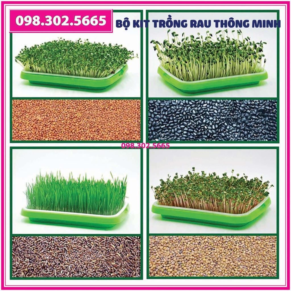 Bộ Kit trồng rau mầm 5 khay, 5 tầng bao gồm: Giá đỡ có 4 bánh + 5 Khay trồng + 500g Hạt giống + Vòi xịt nước.