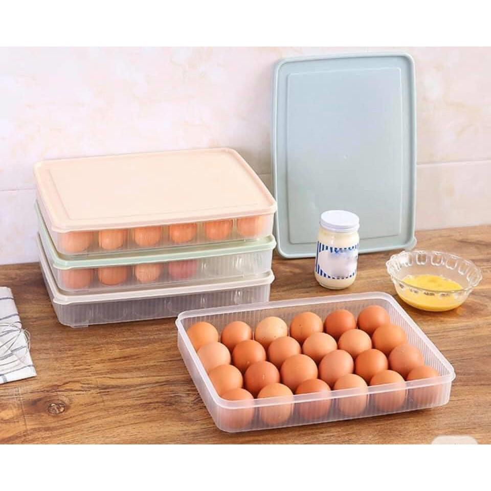 Hộp đựng trứng 24 quả