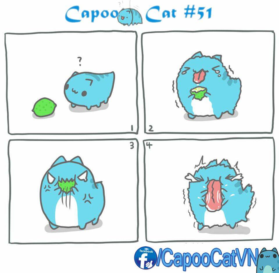 capoo cat chapter 6 1