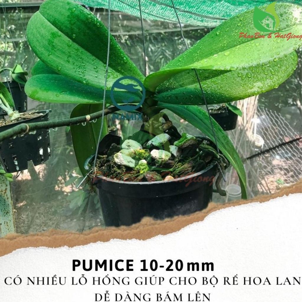 Đá Bọt Pumice Namix Cực Phẩm Cho Lan, Hoa Hồng, Cây Cảnh size 10-20mm [2.2 -2.6Kg] - Shop Phân Bón và Hạt Giống