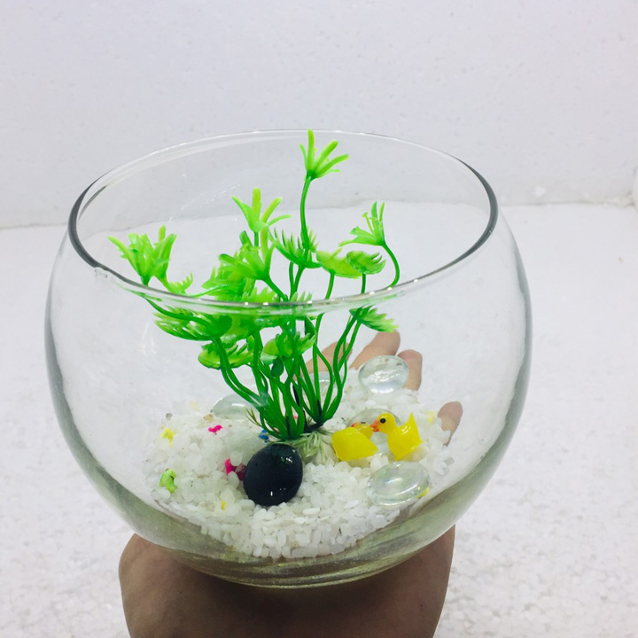 Bể cá mini để bàn tròn có phụ kiện