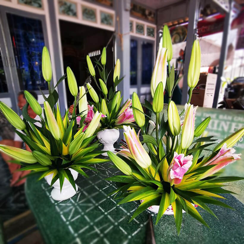 Bột cắm hoa cắt cành Longlife SG của Israel - Food For Cut Flower (Combo 3 hộp 1kg), giúp shop hoa bảo quản hoa tươi lâu và không thay nước, cắt tỉa gốc hay hạn chế thay hoa định kỳ theo tuần