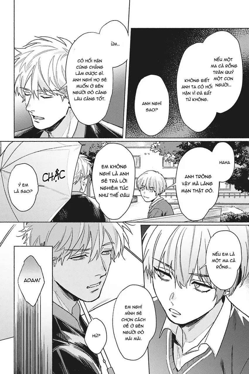 dòng máu bạch kim chapter 3 22