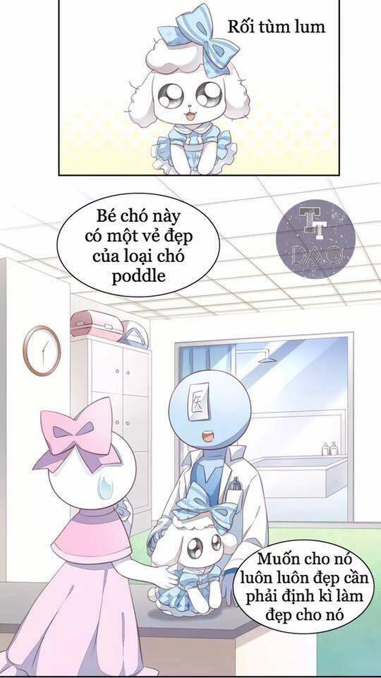 dưới móng vuốt mèo chapter 17 47