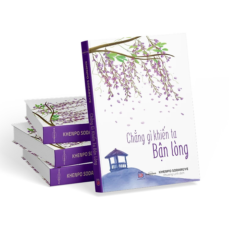 Sách Chẳng Gì Khiến Ta Bận Lòng - Đại Sư Khenpo Sodargye "Ta đến từ đâu? Ta sẽ đi về đâu? Rốt cuộc, sống để làm gì?”