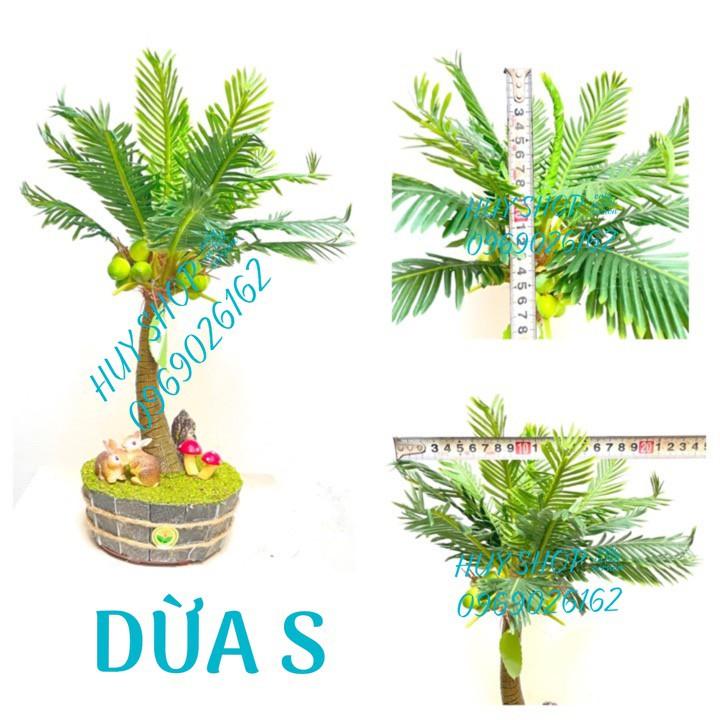 Chậu cây Trái DỪA nhân tạo trang trí nhà cửa