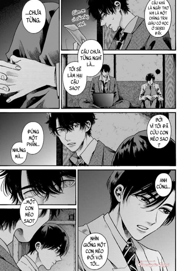 tạm biệt đồng phạm của tôi chapter 1 37