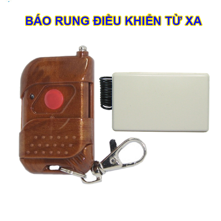 Máy báo rung không dây điều khiển từ xa RF 315Mhz