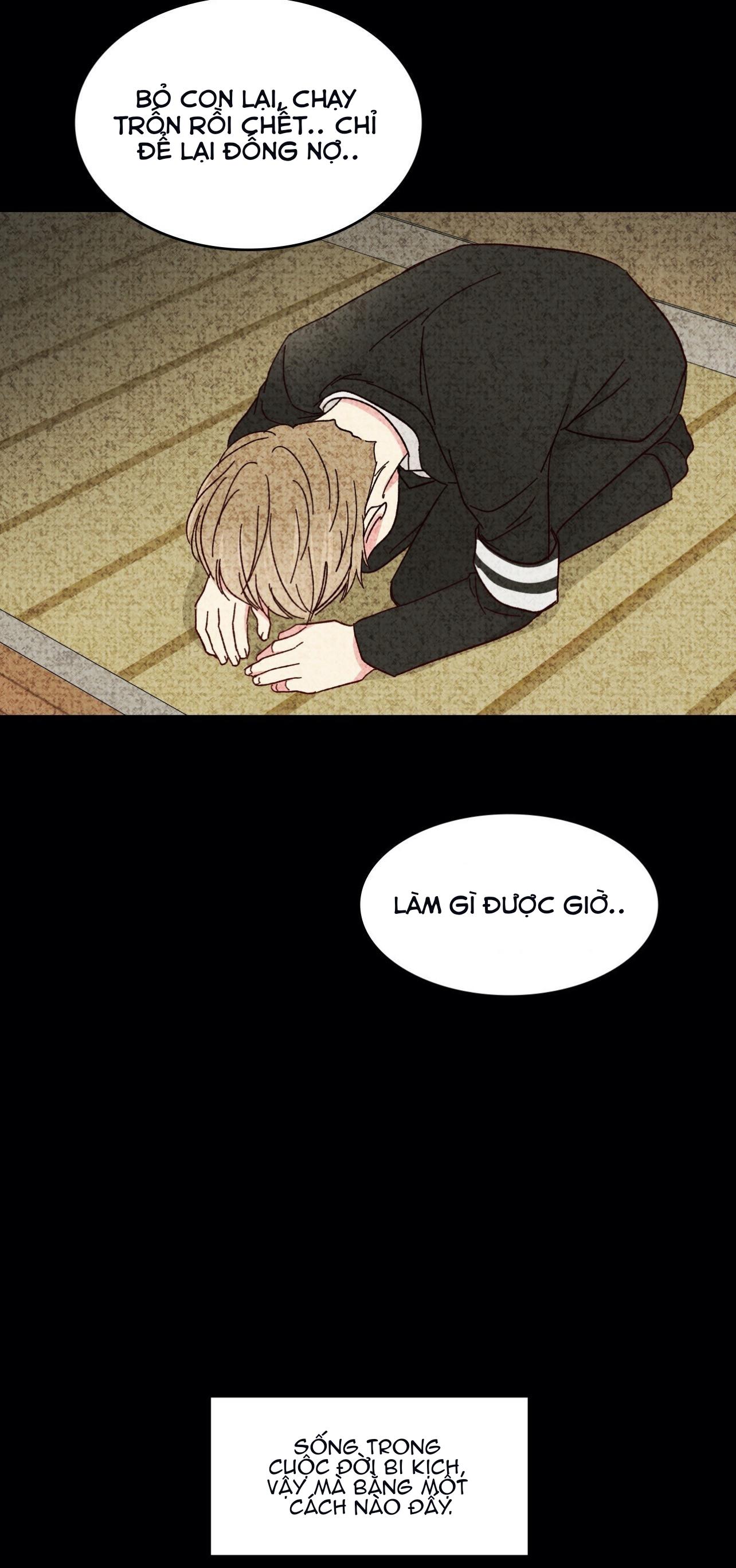 món tráng miệng của sếp tổng chapter 60 30