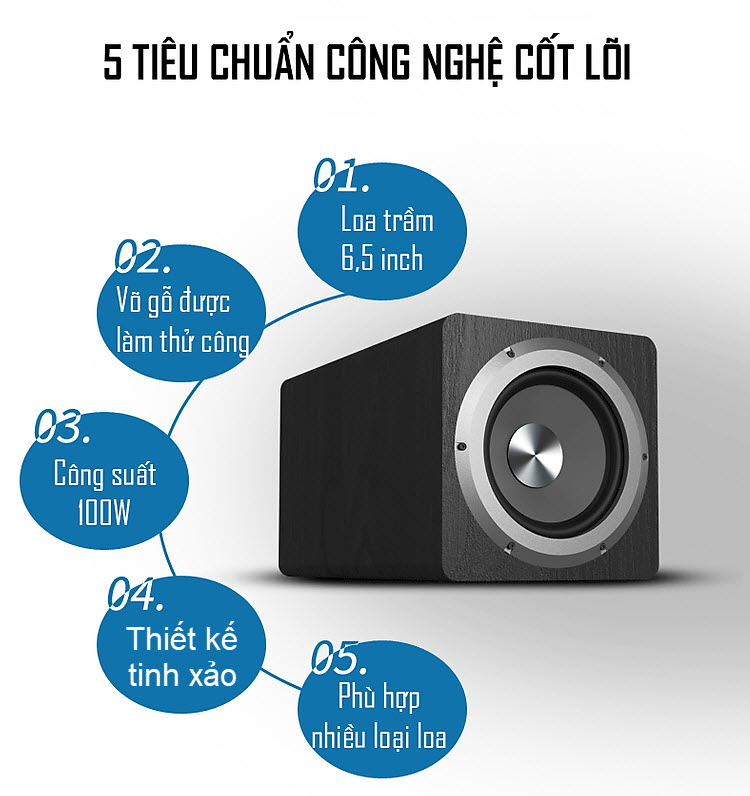 Loa Trầm Điện Subwoofer Công Suất Lớn 100W SU650D AnZ