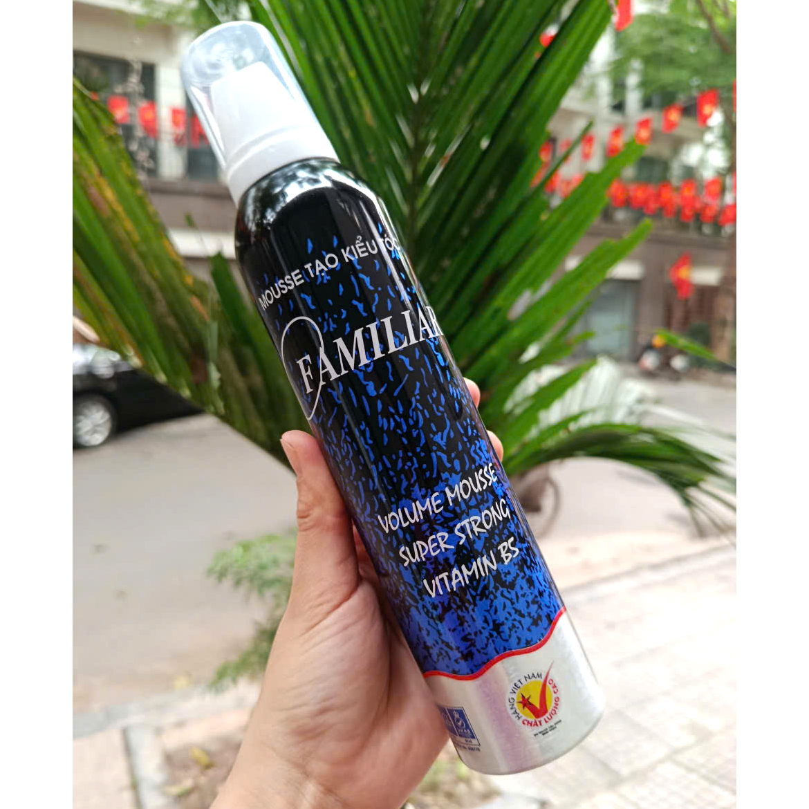 Mousse Tạo Kiểu Tóc Familiar Giữ Nếp Mạnh 250ml