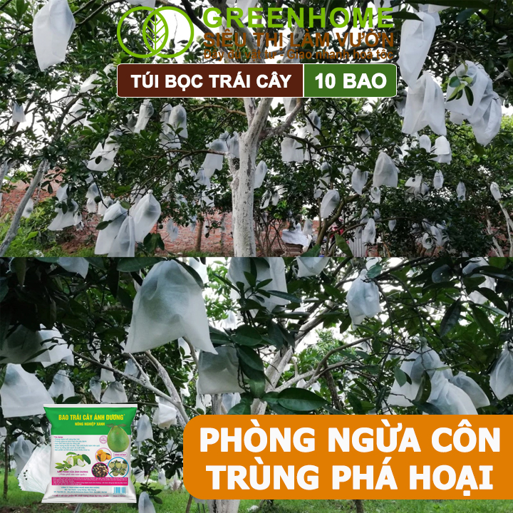 10 Túi Bọc Bưởi Da Xanh Greenhome, 30x35cm, Có Nút Cài, Độ Bền 3-5 Năm, Nhiều Kích thước