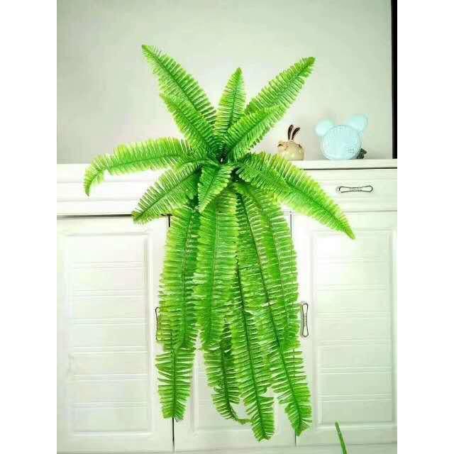 Cành lá dương sỉ điểm trang trí