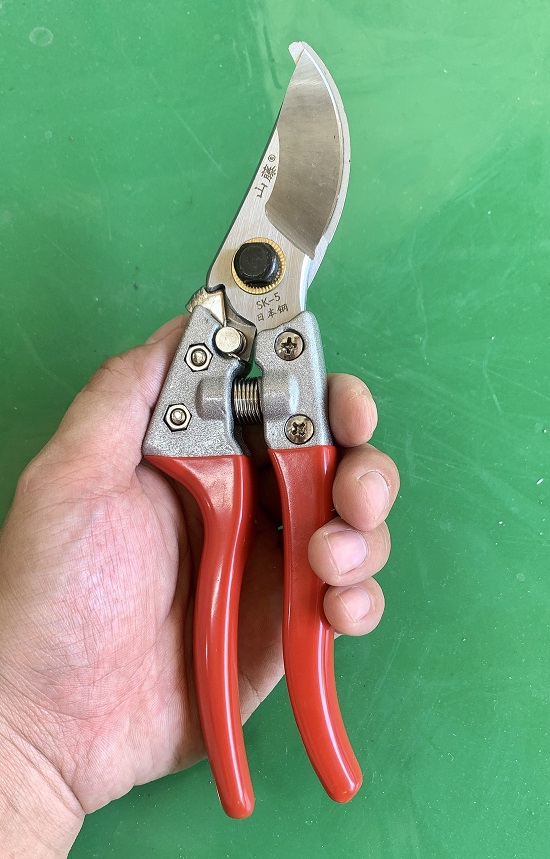 Kéo Cắt Tỉa Cành Cây - Kéo Cắt Cành Siêu Sắc Bền Tặng Kèm Lò Xo - Kéo SK5 Delow