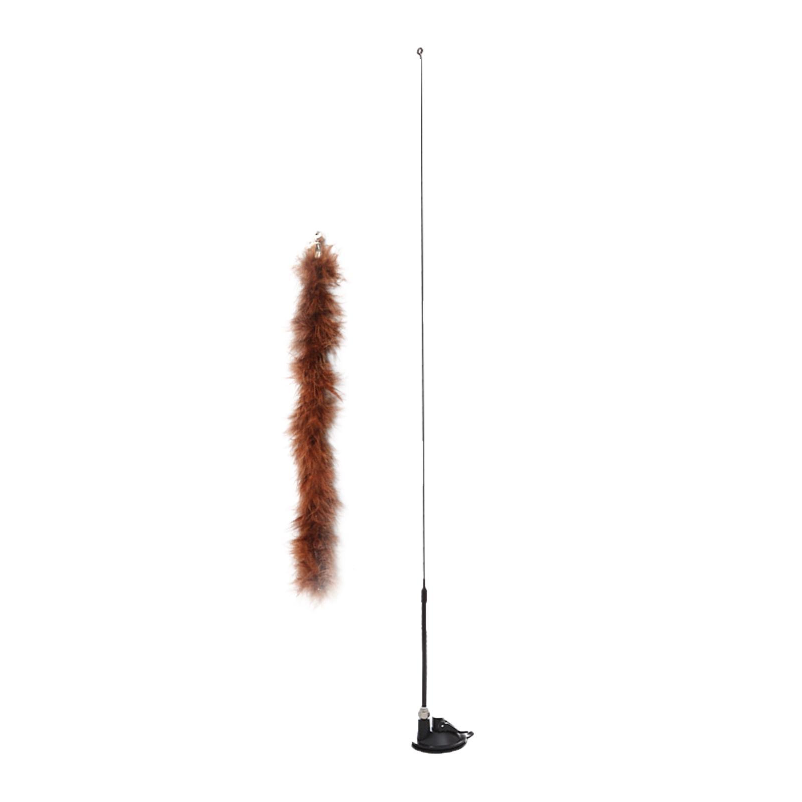 Kitten Toy Set Replacement Interactive Toys Exercise Pet Supplies