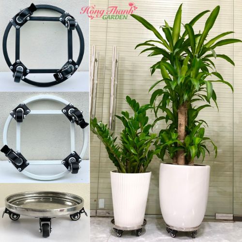 Kệ Để Chậu ĐK25-50cm, Đế Chậu Thông Minh Đa Năng Cao Cấp HTG, Siêu Chắc Khỏe, Có Bánh Xe Di Chuyển, Có Chốt An Toàn, Chịu Lực Đến 400kg, Chất Liệu Hợp Kim Cao Cấp Sơn Tĩnh Điện
