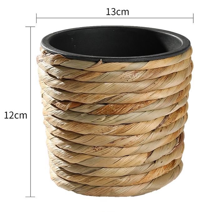 - Chậu trồng cây lục bình đẹp
