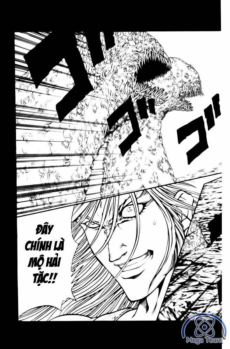 vua trên biển chapter 150 19