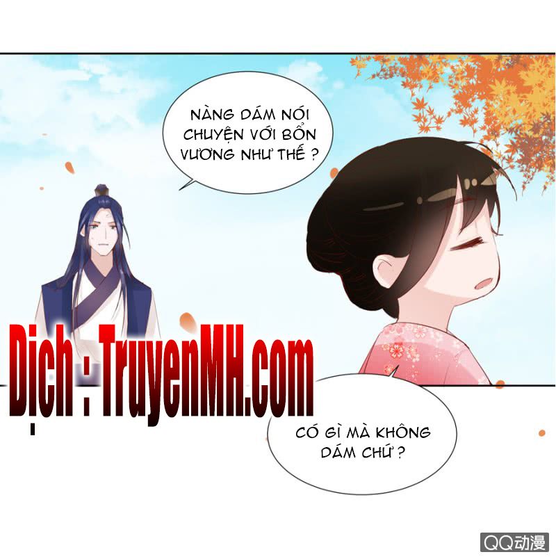 solo đi vương gia chapter 6 13