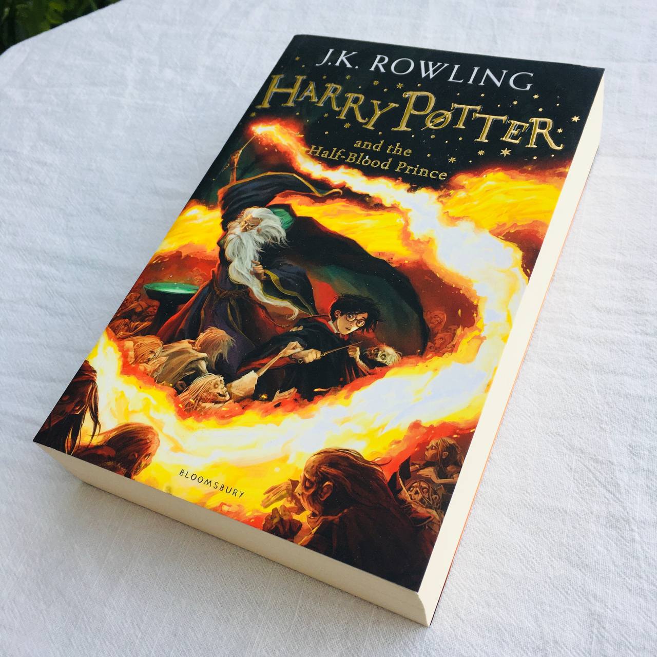 Harry Potter Part 6: Harry Potter And The Half-Blood Prince
