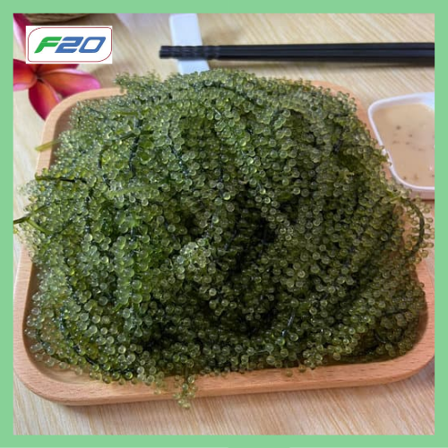 Rong nho tách nước JAVIE. Snack rong biển