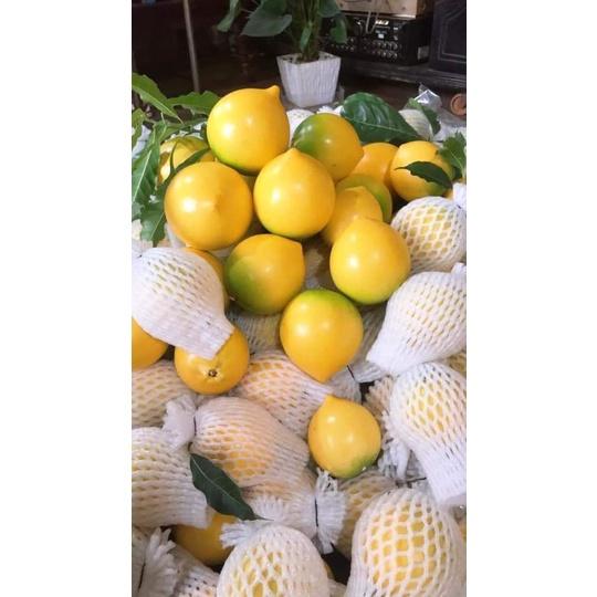 1KG TÚI XỐP BỌC ỔI, NA, MÃNG CẦU, CÁC LOẠI TRÁI CÂY đầy đủ thun, xốp,bì