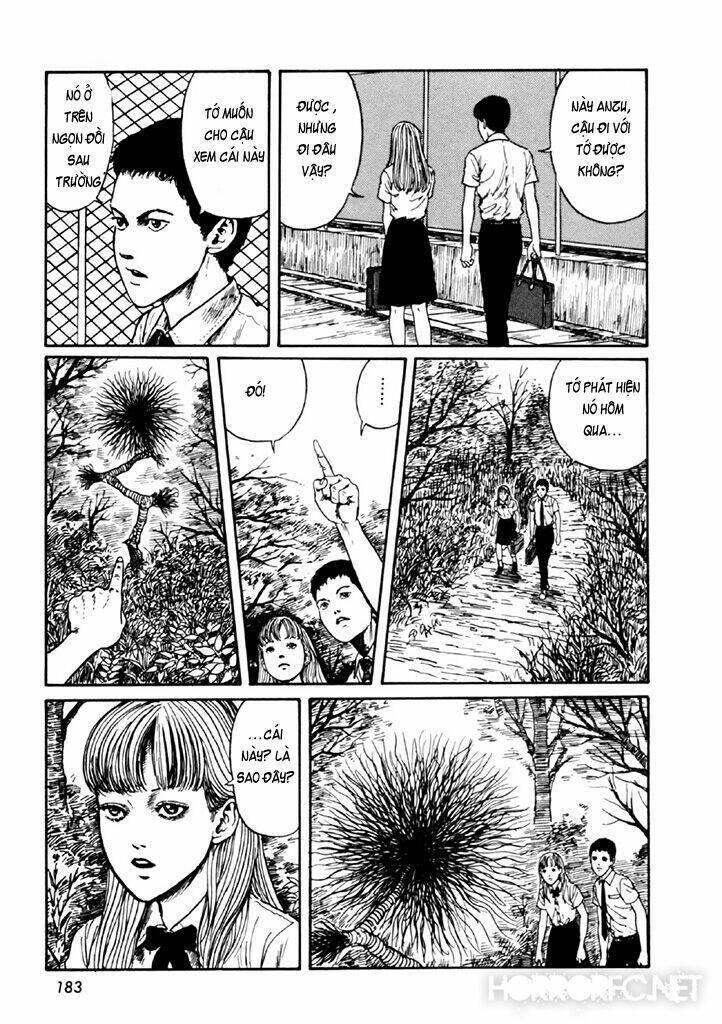 tuyển tập truyện ngắn kinh dị của ito junji chapter 14.4 49