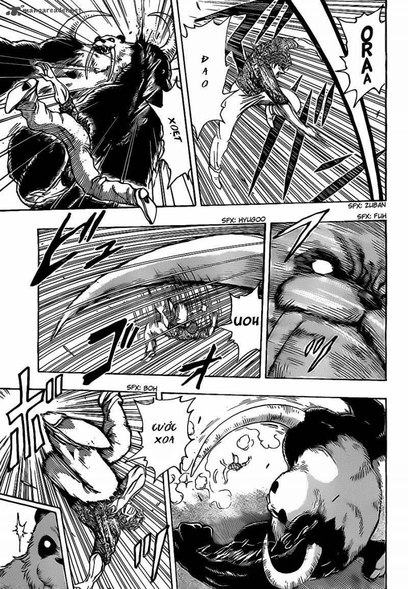 thợ săn ẩm thực chapter 167 7