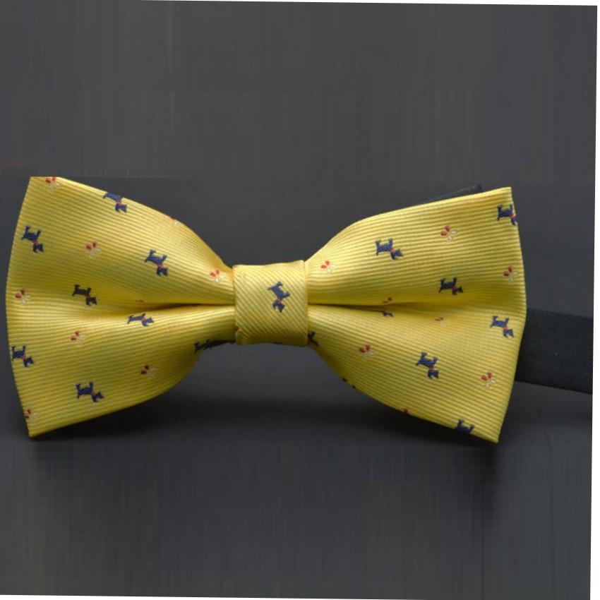 ️️ Nơ Đeo Cổ Nam TLG 206247