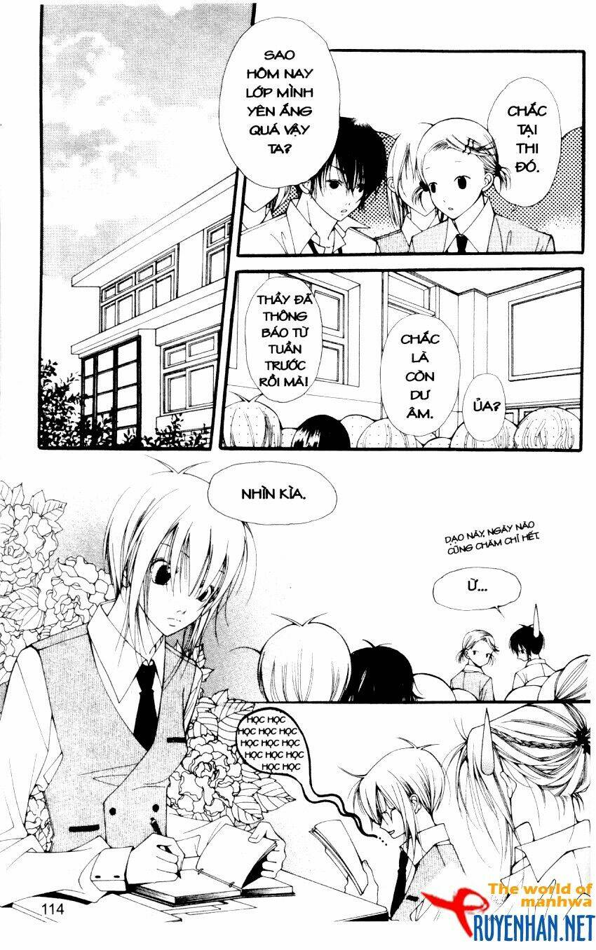 ngọc trong đá-ace chapter 15 16