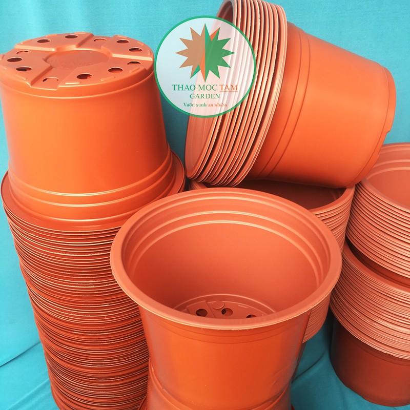 30c Chậu nhựa trồng hoa 23x16cm - Chậu nhựa trồng cây hoa cảnh