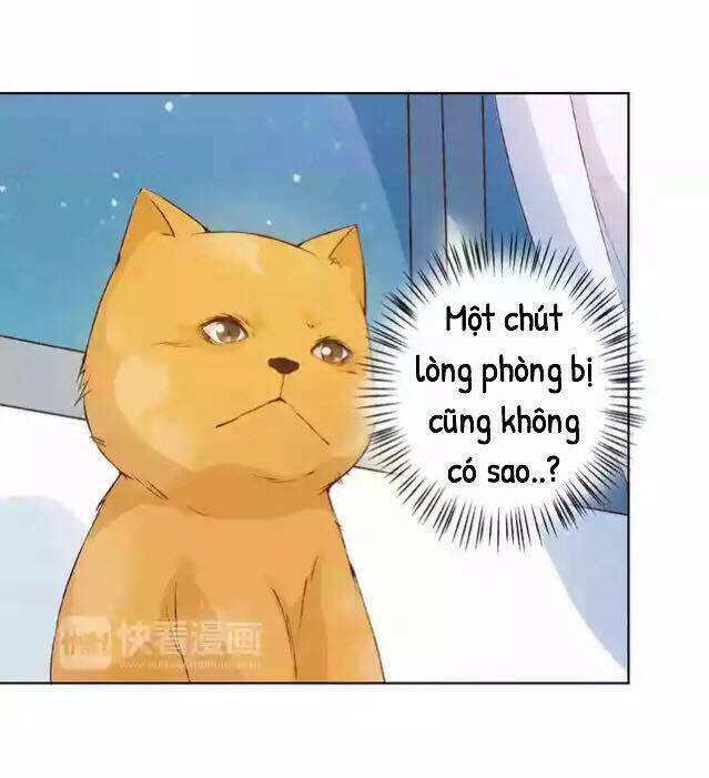 tôi không phải đa nhân cách chapter 30 59