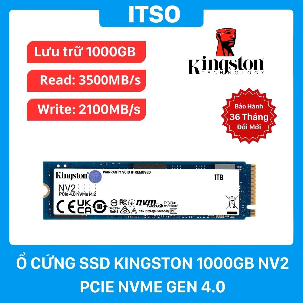 Ổ cứng SSD Kingston 1TB NV2 NVMe PCIe 4.0 (SNV2S/1000G) - Hàng chính hãng