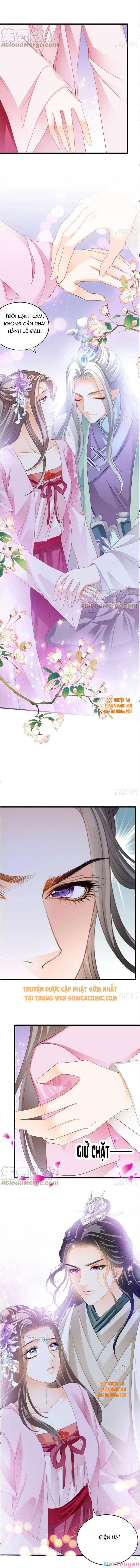 bổn vương muốn nàng chapter 96 6