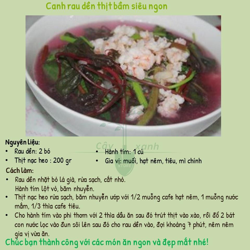 Hạt Giống Rau Dền Ba Màu 20Gr