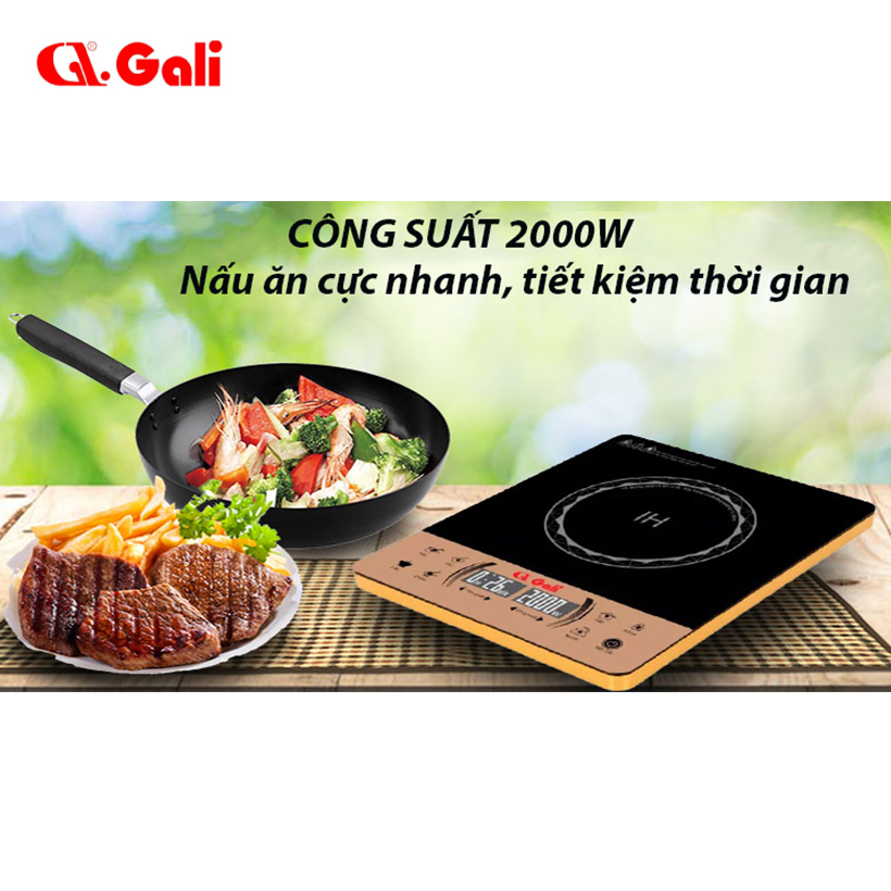 Bếp điện từ đơn cảm ứng Gali GL-2022 - Hàng chính hãng