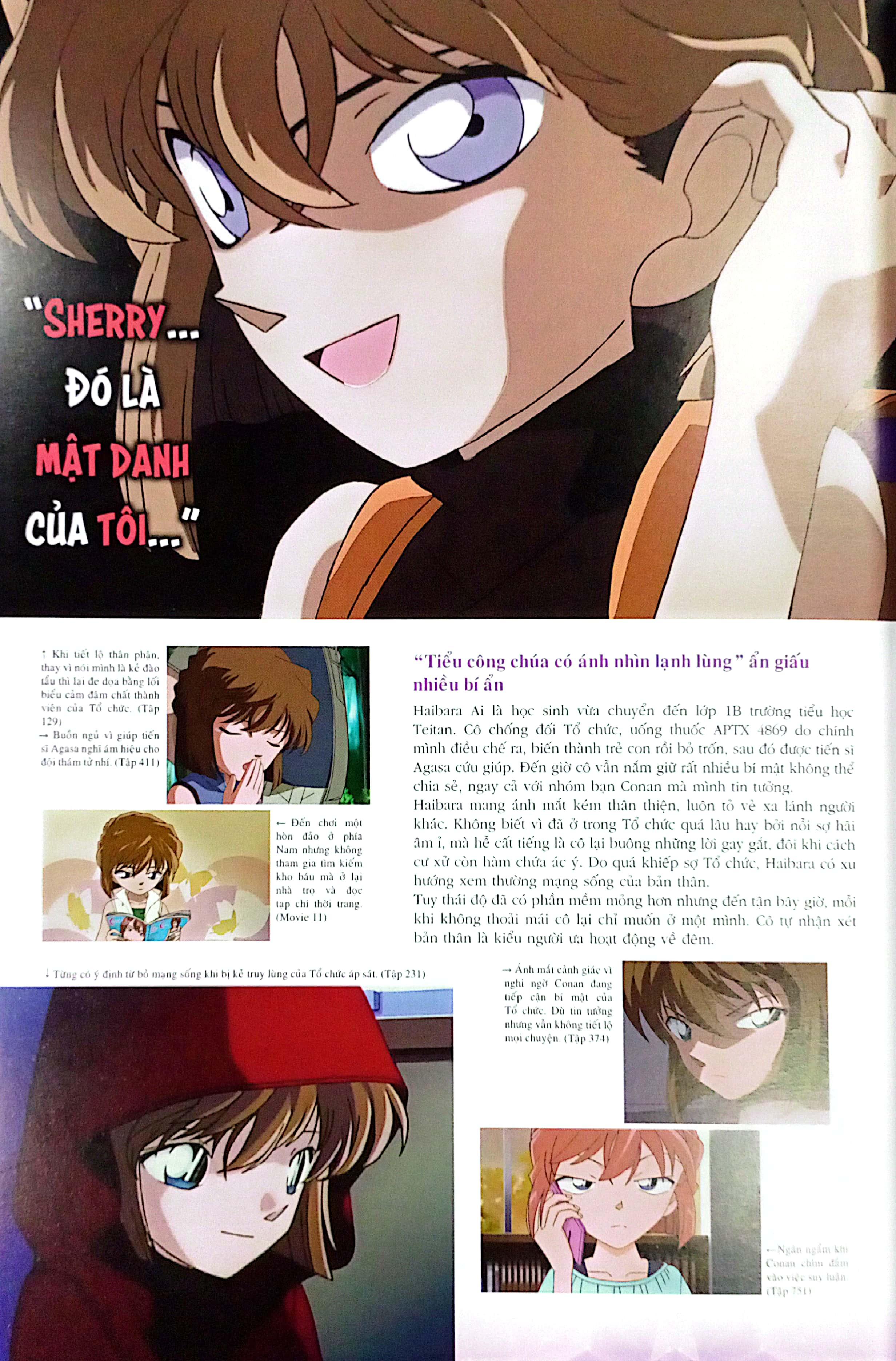 Thám Tử Lừng Danh Conan: Hồ Sơ Tuyệt Mật - Ai Haibara