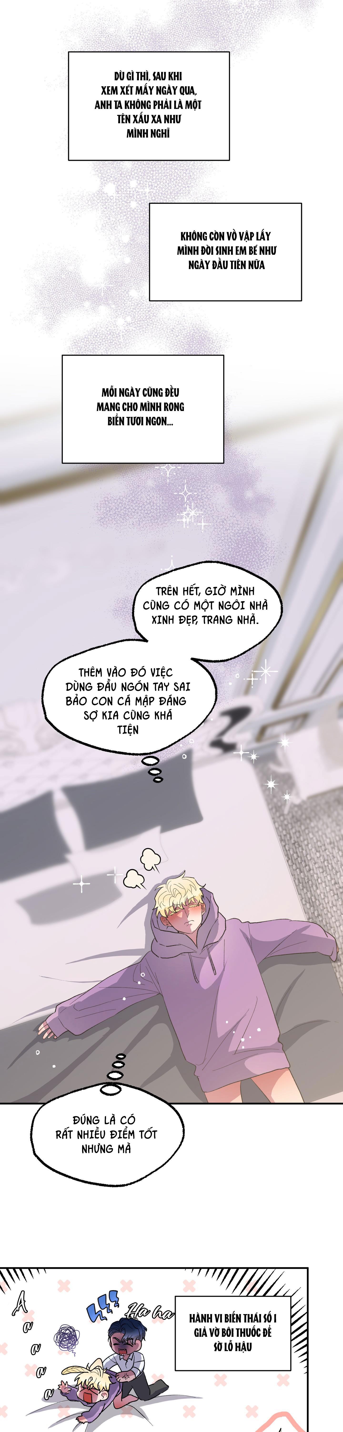 cá mập và cô dâu thỏ chapter 6 12