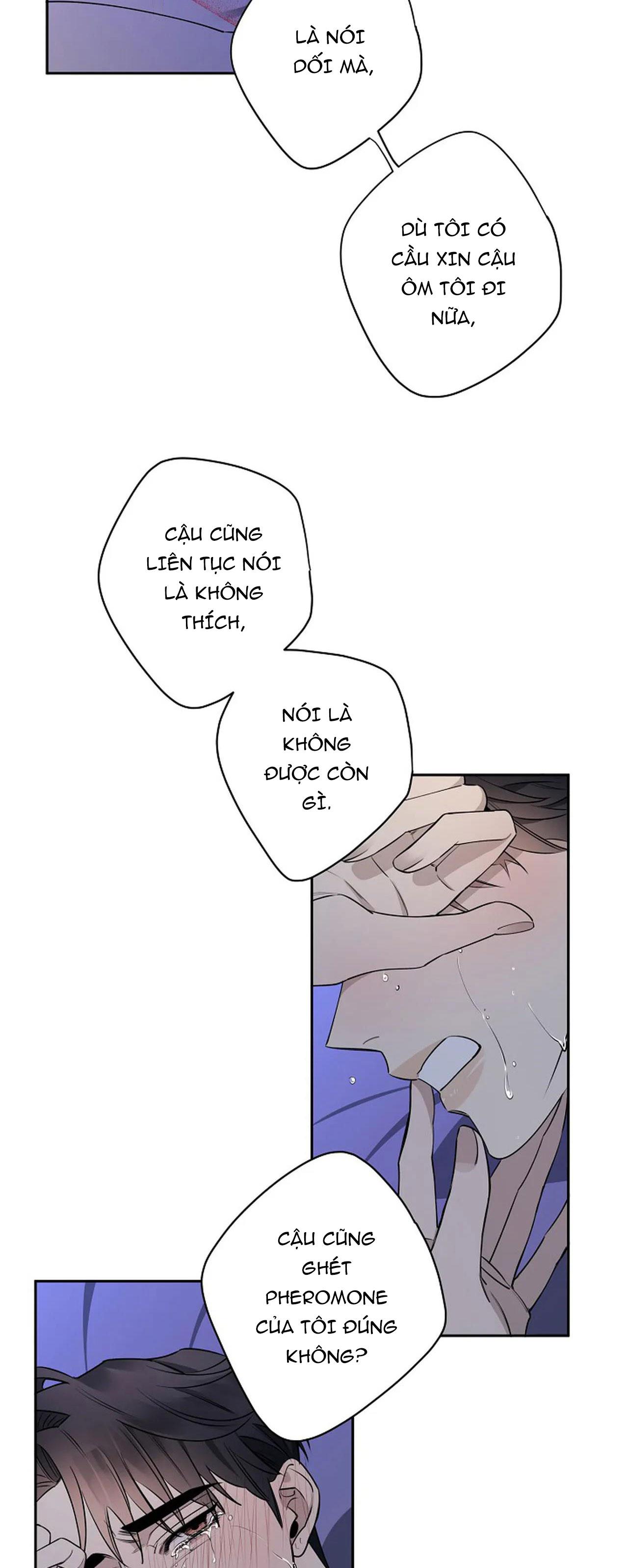 đêm dịu dàng chapter 38 19