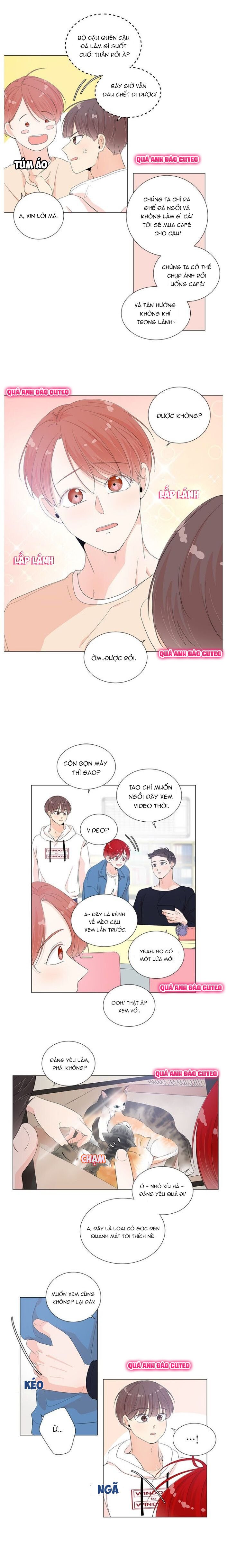 phòng cạnh phòng chapter 20 6