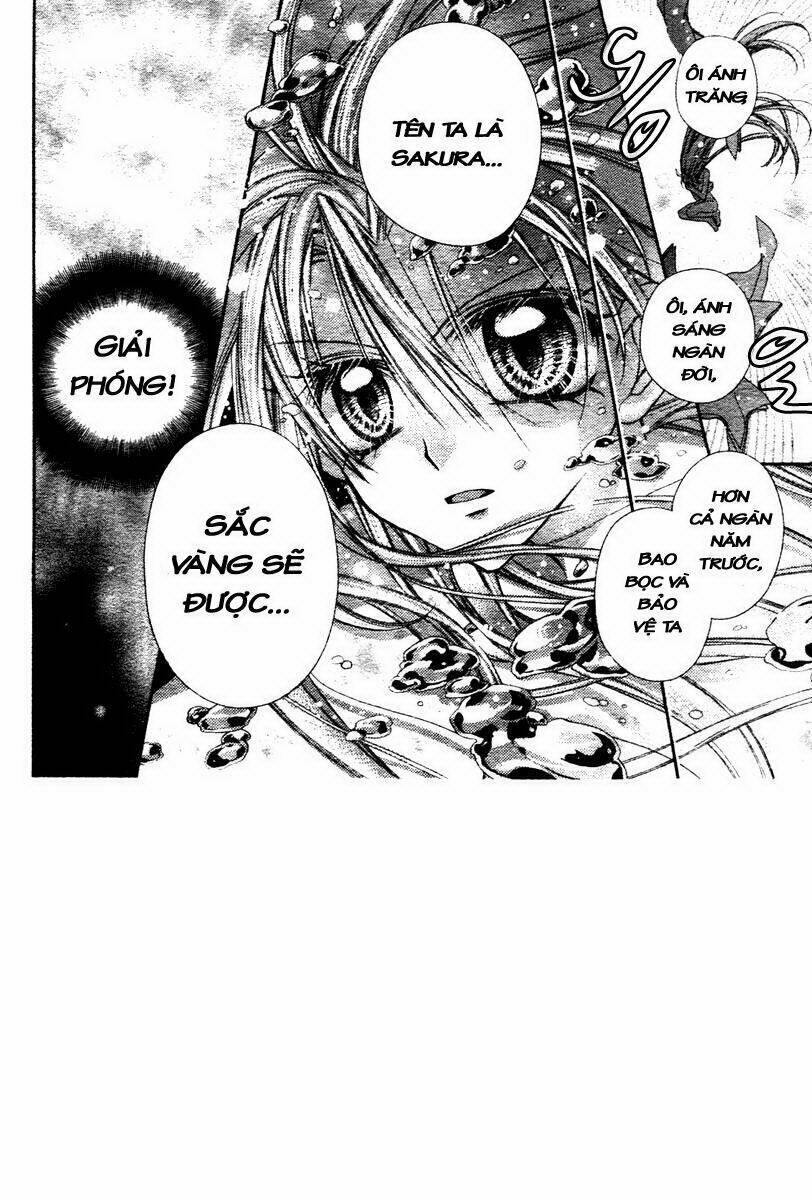 truyền thuyết công chúa hoa anh đào chapter 1 56