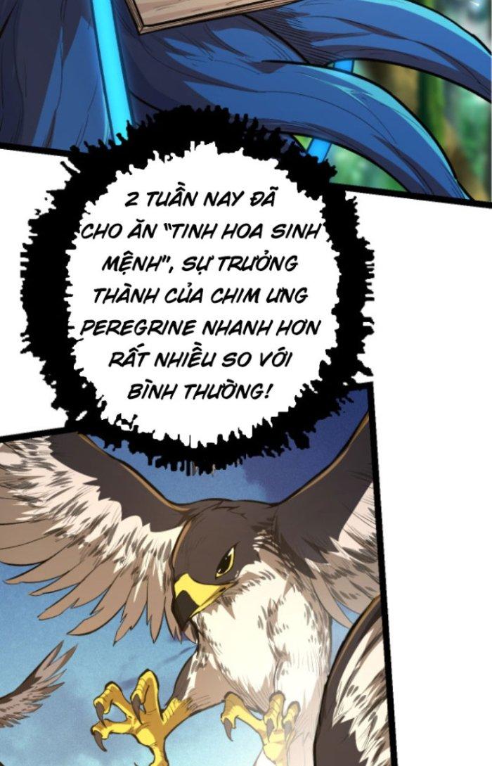 từ cây cổ thụ bắt đầu tiến hóa chapter 4 44