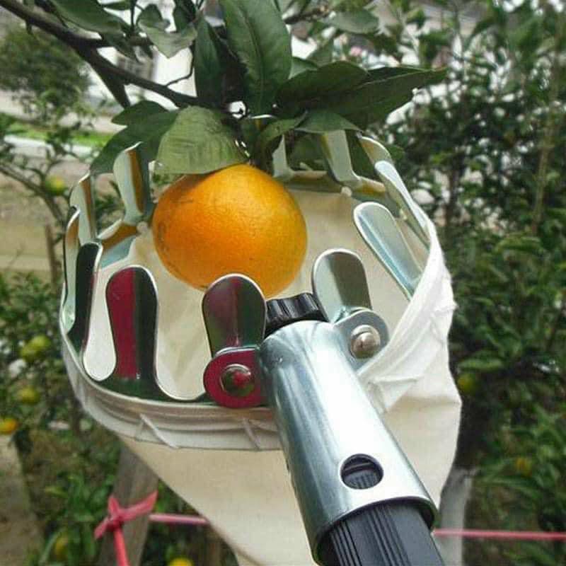 VỢT HÁI HOA QUẢ TRÊN CAO KÈM TÚI VẢI CHUẨN SIZE 16 CM, CHẮC CHẮN - HÀNG CHÍNH HÃNG