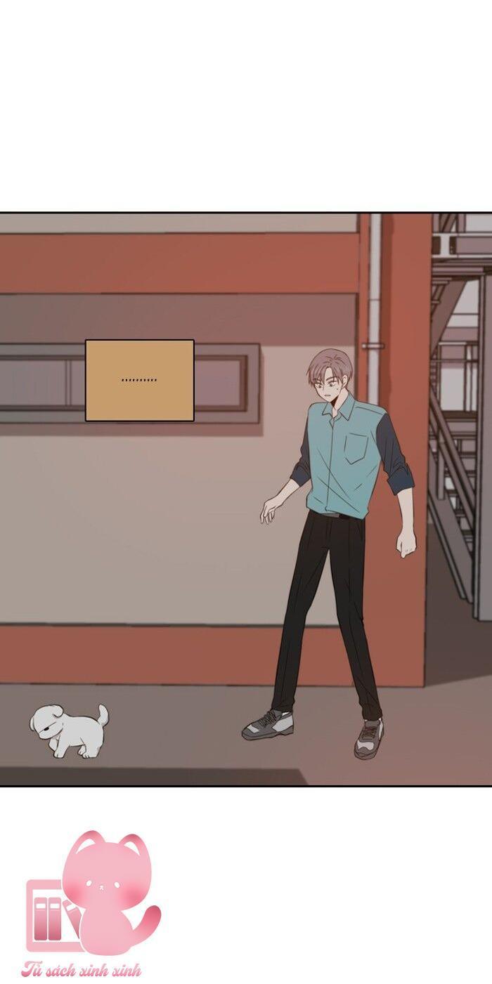 a good day to be a dog chapter 45 46