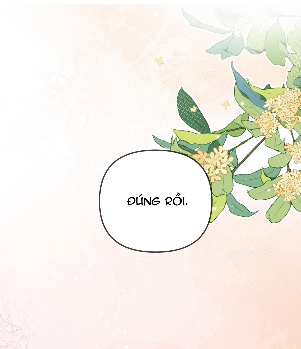 câu chuyện ngọt ngào của cặp vợ chồng đỉnh lưu chapter 91 10